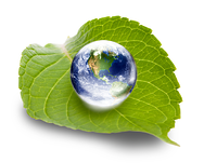 Budget Propane Green Energy
