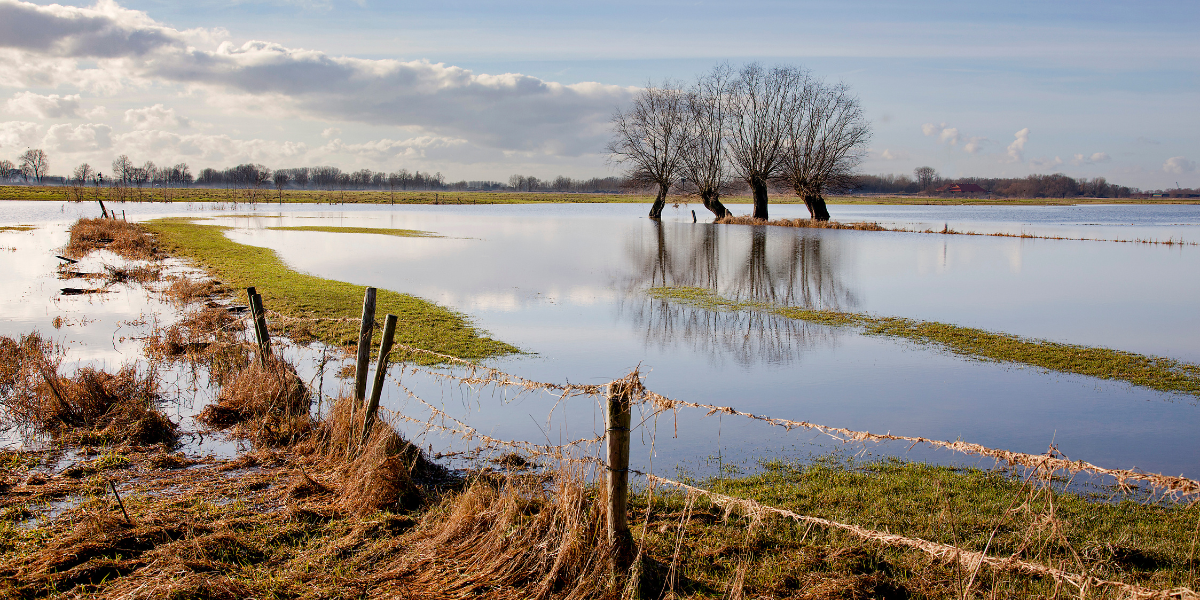 Flood sbb