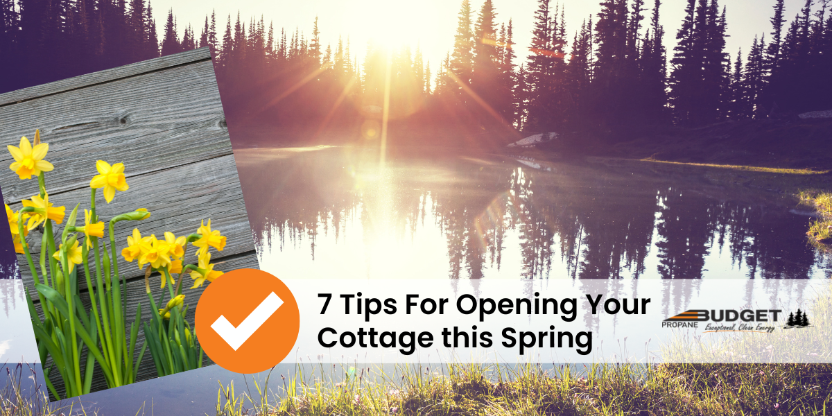 Spring Tips