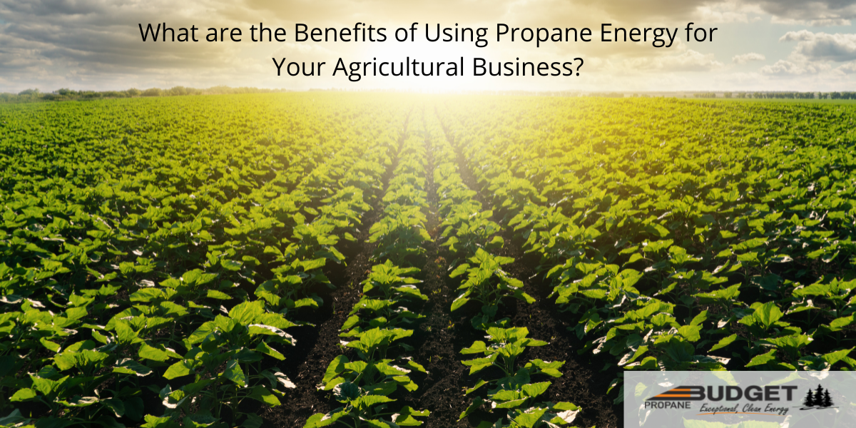 Agricultural Propane