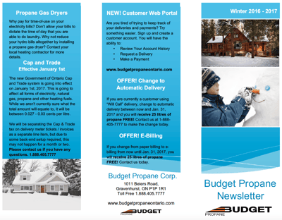 Budget Propane Winter Newsletter Sample