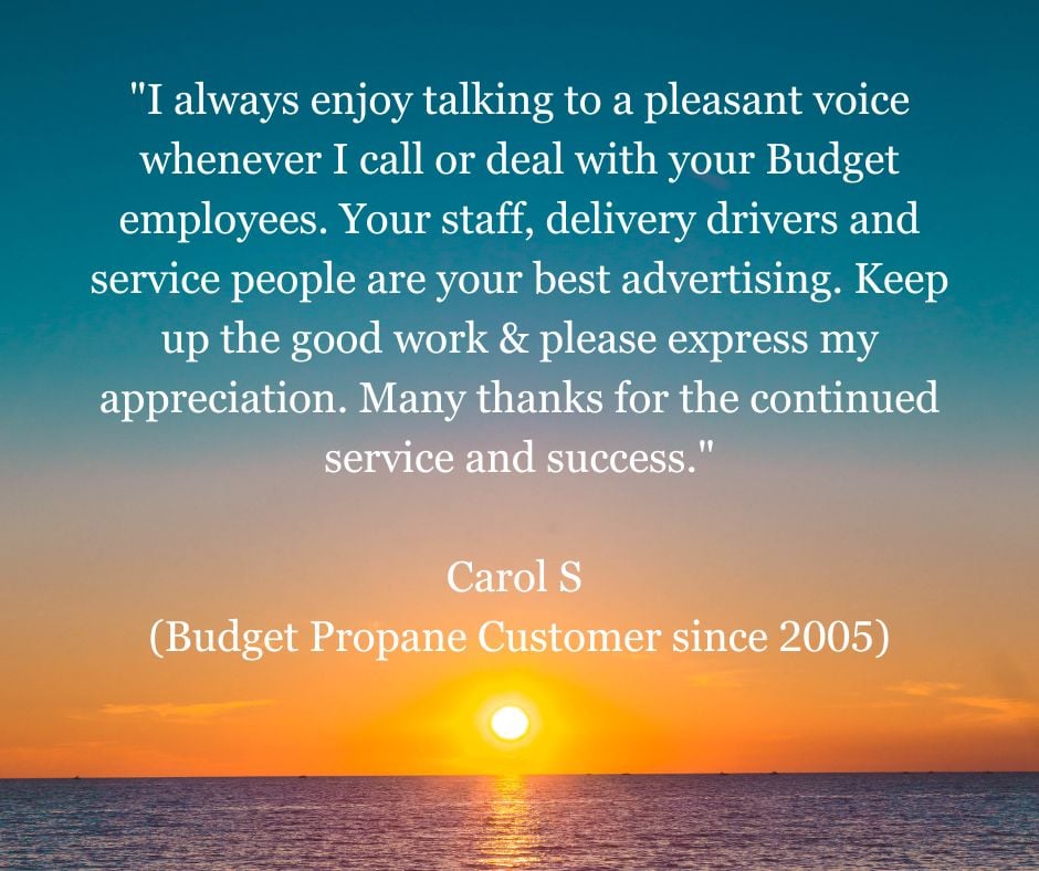 Budget Customer Review_July 6