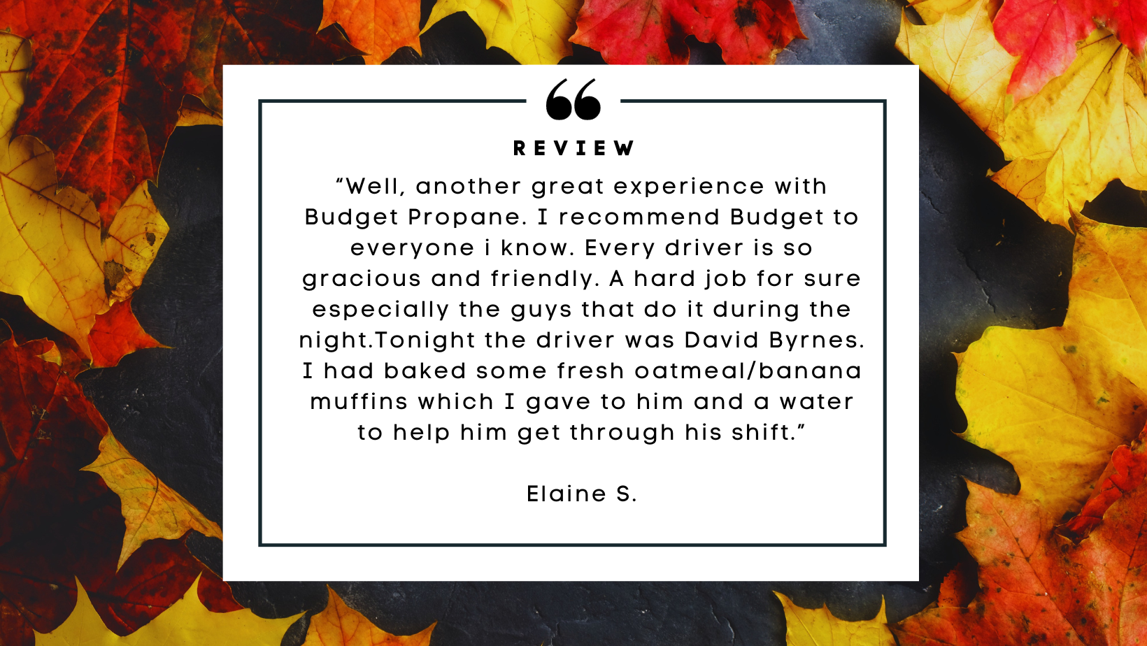 Budget Testimonial_Blog (1)