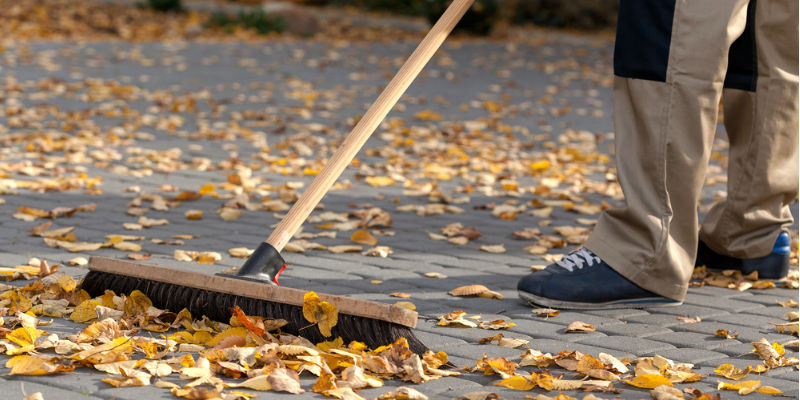 Person brushing leaves