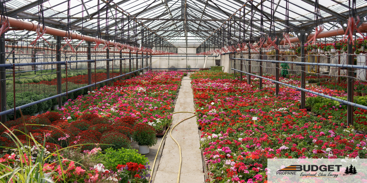 Propane Greenhouses