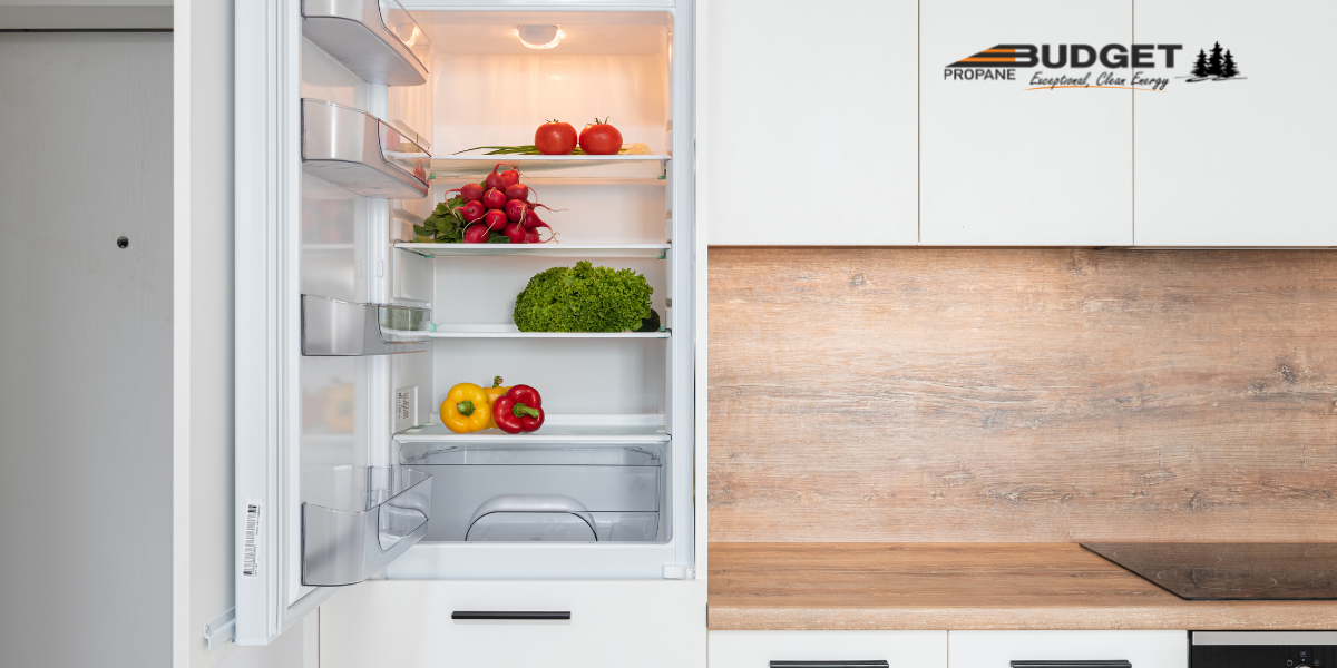 How Do Propane Refrigerators Work: Cooling Secrets Unveiled