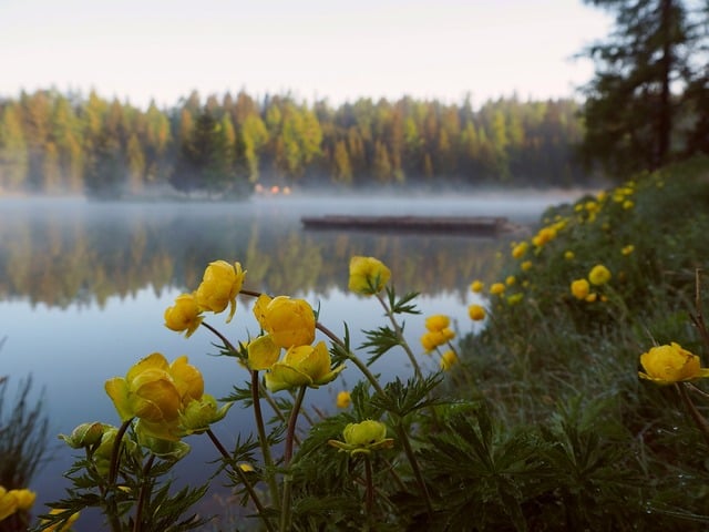 Get Your Cottage Ready for the Season with Budget Propane Checklist